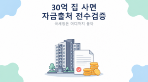 30억 집 사면 자금출처 전수검증 썸네일